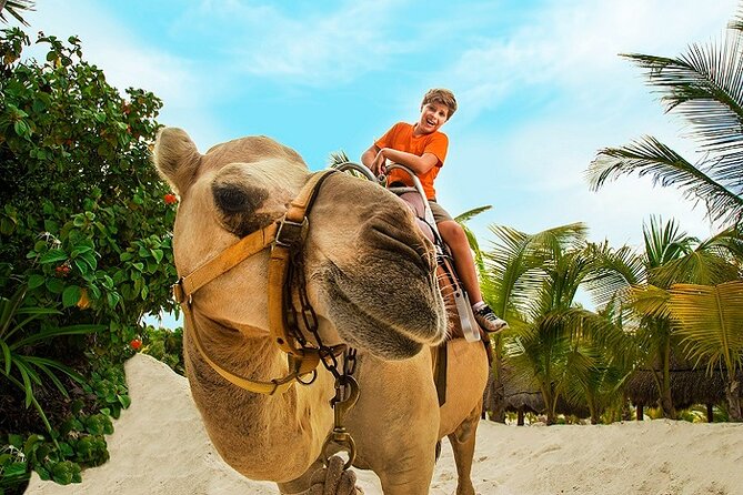 Camel Expedition and Beach Club In Riviera Maya - Why the small group matters