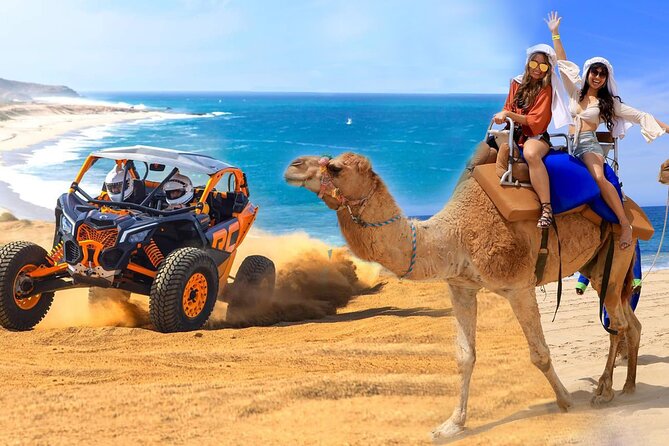 Camel Ride and UTV Combo Adventure, with Tequila Tasting - Key points at a glance