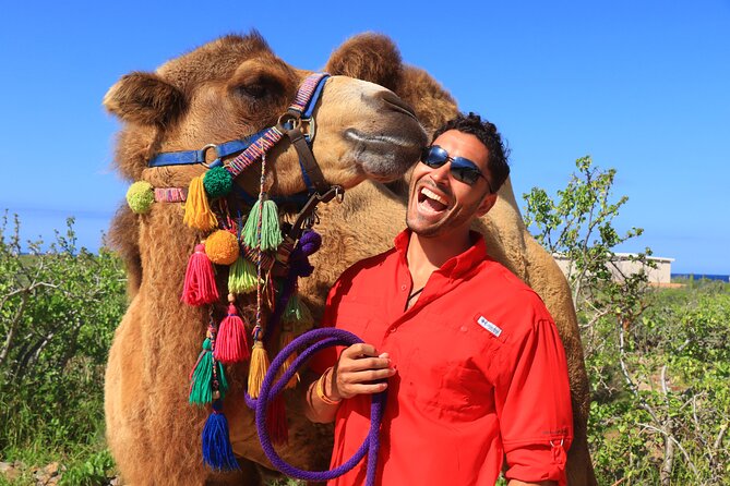 Camel Ride and UTV Combo Adventure, with Tequila Tasting - The view from the dunes and ocean cliffs