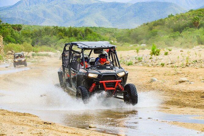 Camel Ride and UTV Combo Adventure, with Tequila Tasting - Tequila tasting at the ranch