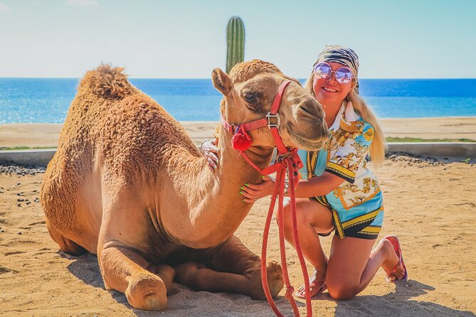 Camel Ride and UTV Combo Adventure, with Tequila Tasting - Photos, phones, and private tours