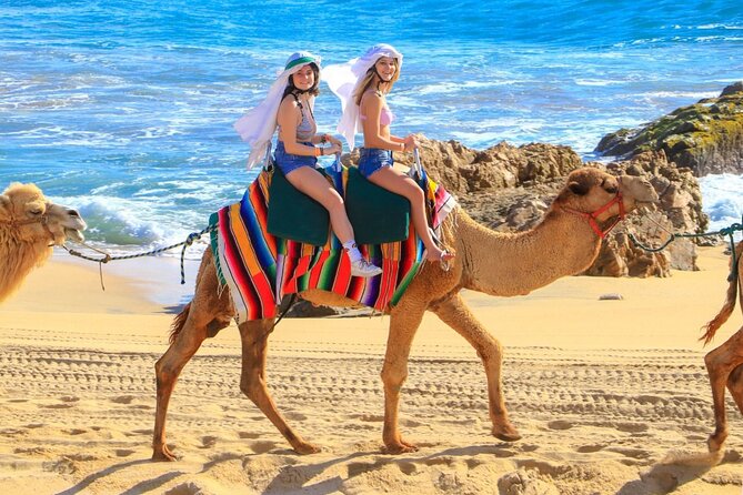 Camel Ride and UTV Combo Adventure, with Tequila Tasting - Reaching Rancho de Migriño from Cabo
