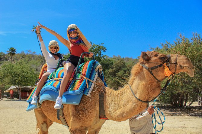Camel Ride in the Canyon + Thrilling Water-Slides & Snacks - Key points to know before booking