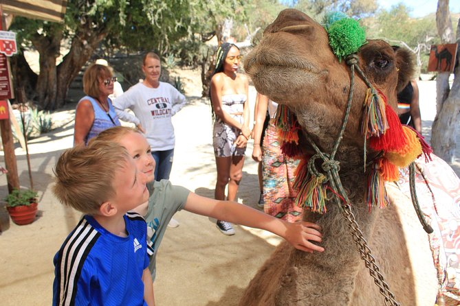 Camel Ride in the Canyon + Thrilling Water-Slides & Snacks - What the $25 park fee adds