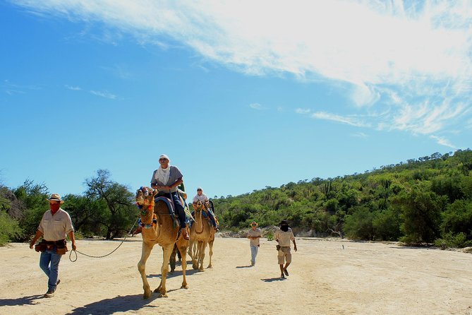 Camel Ride in the Canyon + Thrilling Water-Slides & Snacks - Food, water, heat, and what to pack