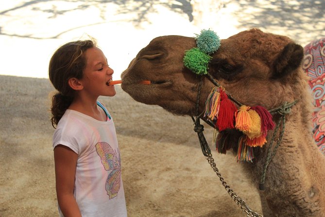 Camel Ride in the Canyon + Thrilling Water-Slides & Snacks - Who should book this camel experience