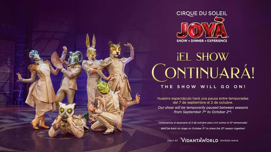 Cancún: Cirque du Soleil JOYÀ Show Ticket - What happens during the 80-minute show