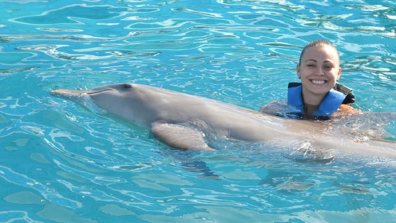 Cancún: Dolphin Encounter on Isla Mujeres with Buffet - Key points at a glance