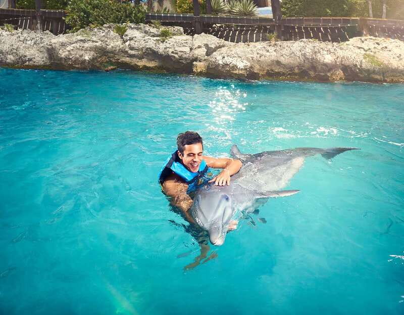 Cancún: Dolphin Encounter on Isla Mujeres with Buffet - What the specialist explains