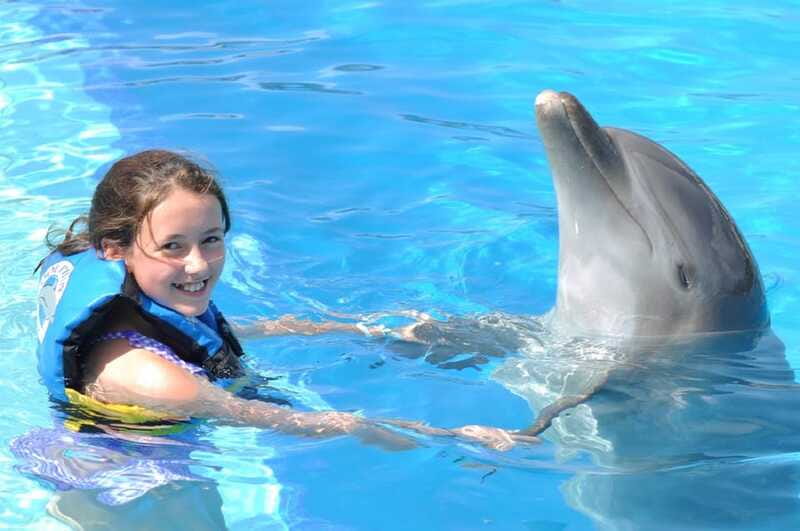 Cancún: Dolphin Encounter on Isla Mujeres with Buffet - Buffet lunch, soft drinks, and pool time