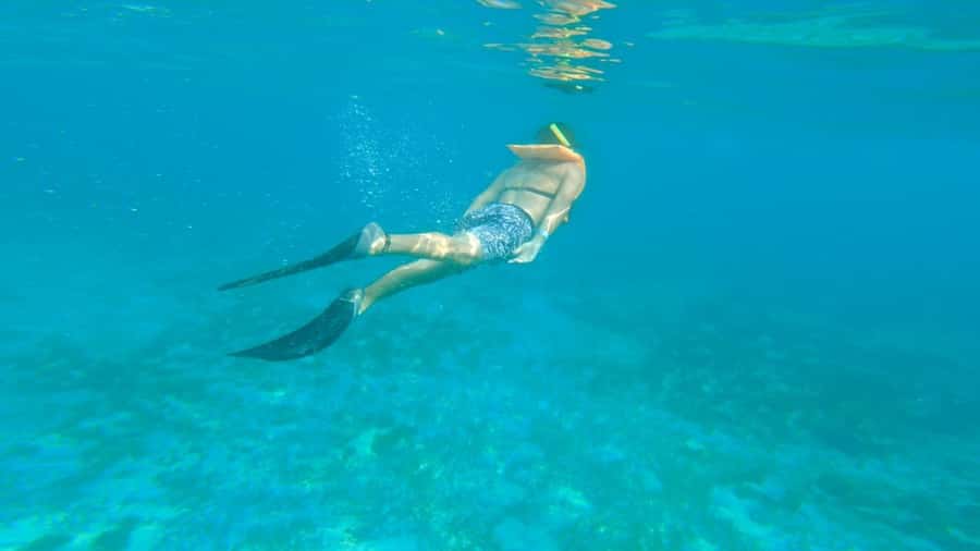 Cancun: Isla Mujeres Full Day Dancer Cruise - Key points at a glance