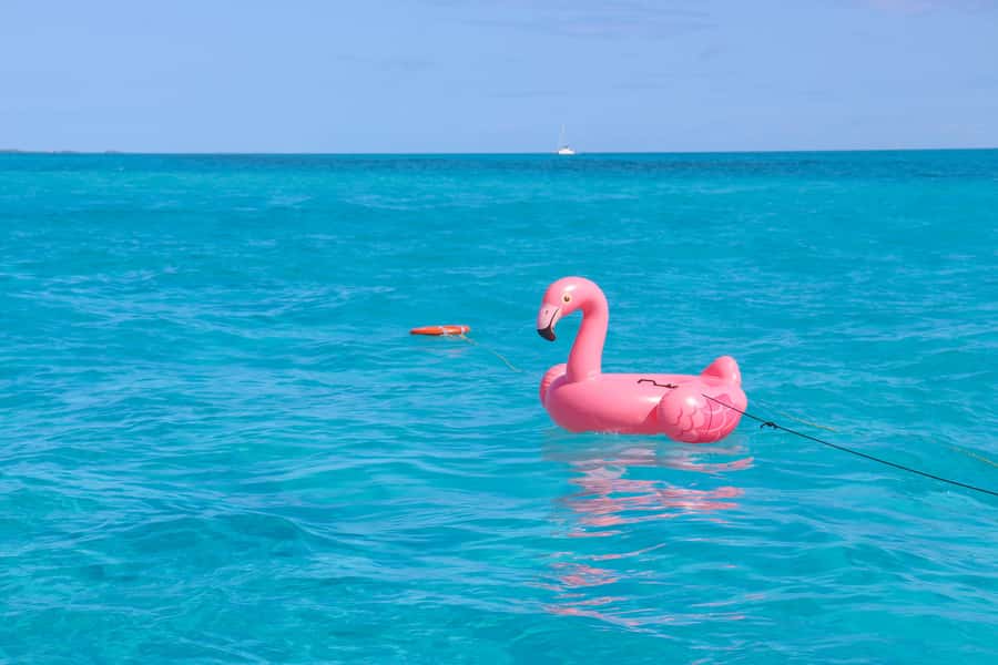 Cancun: Isla Mujeres Full Day Dancer Cruise - The return cruise, DJ, and open bar