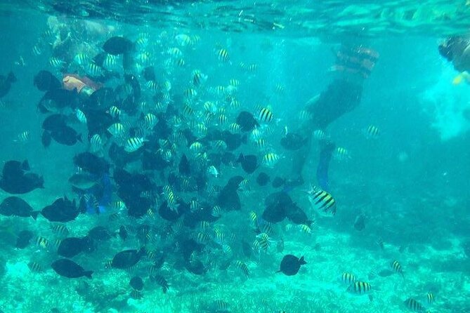 Cancun Jetski and Snorkel Adventure - What Danny, Manuel, and Manny add to the ride