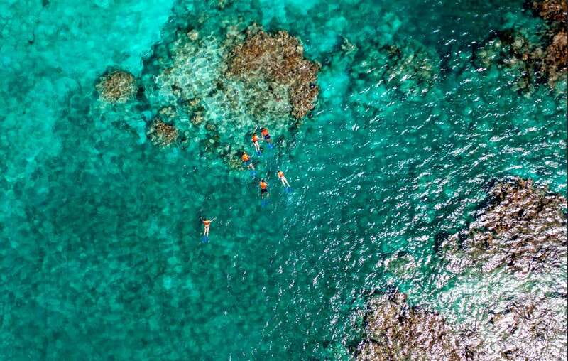 Cancun: Jungle Tour Adventure with Speedboat and Snorkeling - A two-part Cancun adventure with real variety