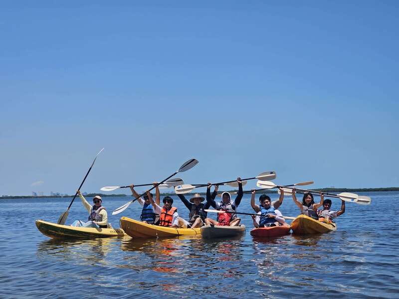 Cancun: Kayaking Tour in Nichupte Lagoon - Wildlife: what you might actually see