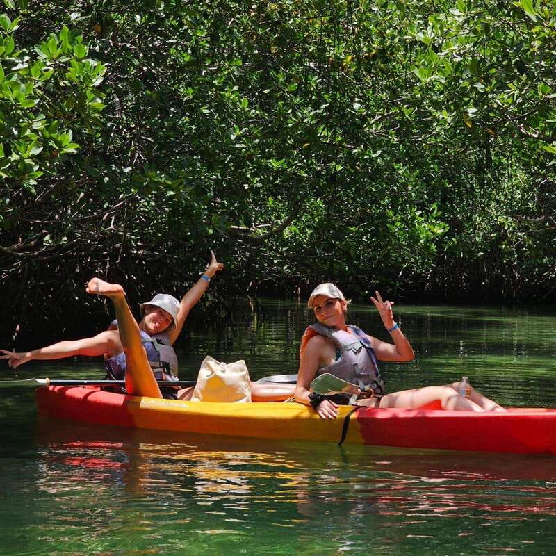 Cancun: Kayaking Tour in Nichupte Lagoon - The mangrove caves and secluded island