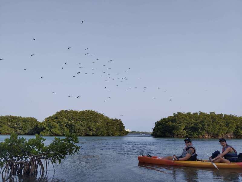 Cancun: Kayaking Tour in Nichupte Lagoon - Choosing morning, midday, or sunset