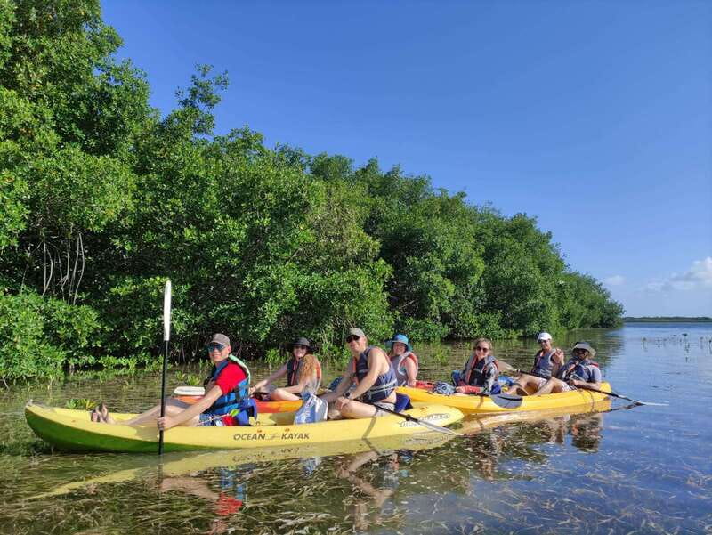 Cancun: Kayaking Tour in Nichupte Lagoon - What is included for $45?