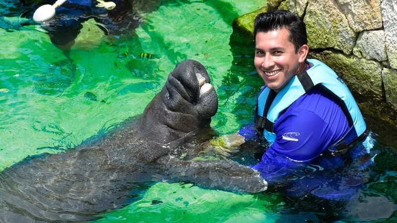 Cancún: Manatee Encounter on Isla Mujeres with Buffet Lunch - How this compares with a dolphin program