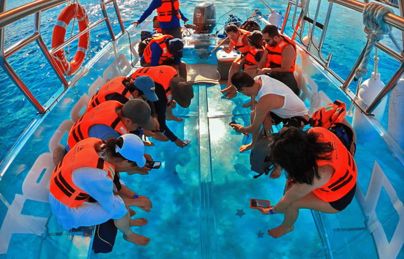 Cancún: Nichupté Lagoon Transparent Boat Tour with Drinks - What is included, and what is not