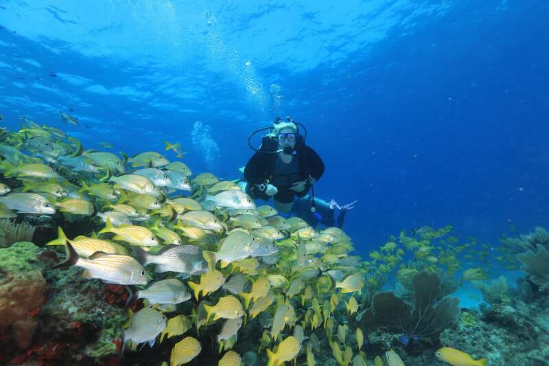 Cancun: Scuba Diving for Beginners, 2 Dives - Key points to know before booking