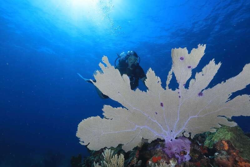 Cancun: Scuba Diving for Beginners, 2 Dives - Boat time and comfort deserve some thought