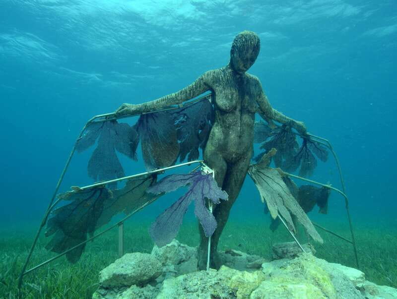 Cancun: Snorkeling Tour at MUSA The Underwater Museum - Who Will Enjoy This Tour Most?