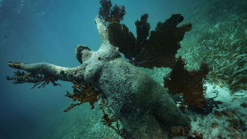 Cancun: Snorkeling Tour at MUSA The Underwater Museum - How Much Time You Spend in the Water