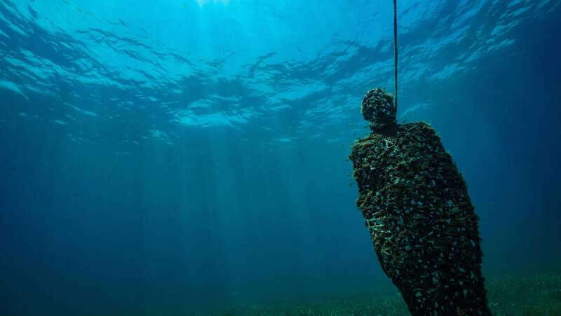 Cancun: Snorkeling Tour at MUSA The Underwater Museum - Is the $58 Price Good Value?