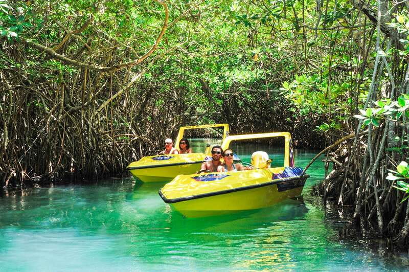Cancun: Speedboat Mangrove Jungle & Snorkel Tour - From Aquaworld Marina into Nichupte Lagoon
