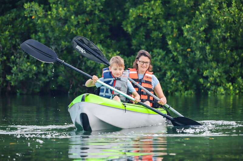 Cancun: Sunset Kayak Experience in the Mangroves - Forty-five minutes through the mangroves