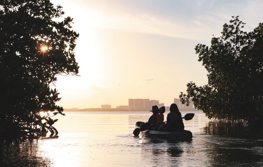 Cancun: Sunset Kayak Experience in the Mangroves - Who should book, and who should skip it
