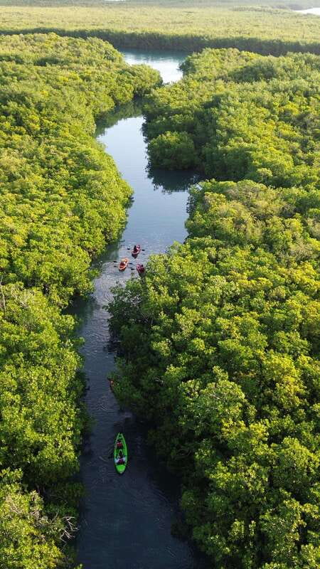 Cancun: Sunset Kayak Experience in the Mangroves - The first 15 minutes: safety, paddles, and a choice of kayak