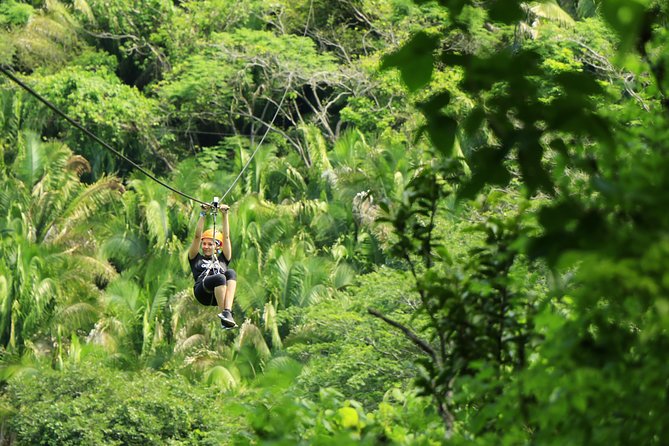 Canopy River Zipline Tour and Mule Ride - Key points to know before you book