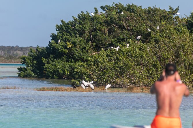Catamaran Adventure: Sailing and Swimming in the Bacalar Lagoon - Who will enjoy this Bacalar boat trip?