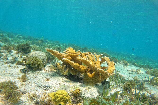 Catamaran with Snorkeling and North Beach, Isla Mujeres - What you really pay for this Cancun catamaran tour