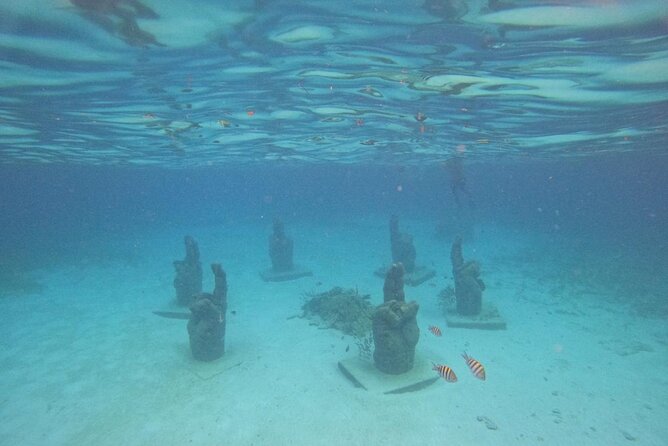 Catamaran with Snorkeling and North Beach, Isla Mujeres - Weather and cancellation rules