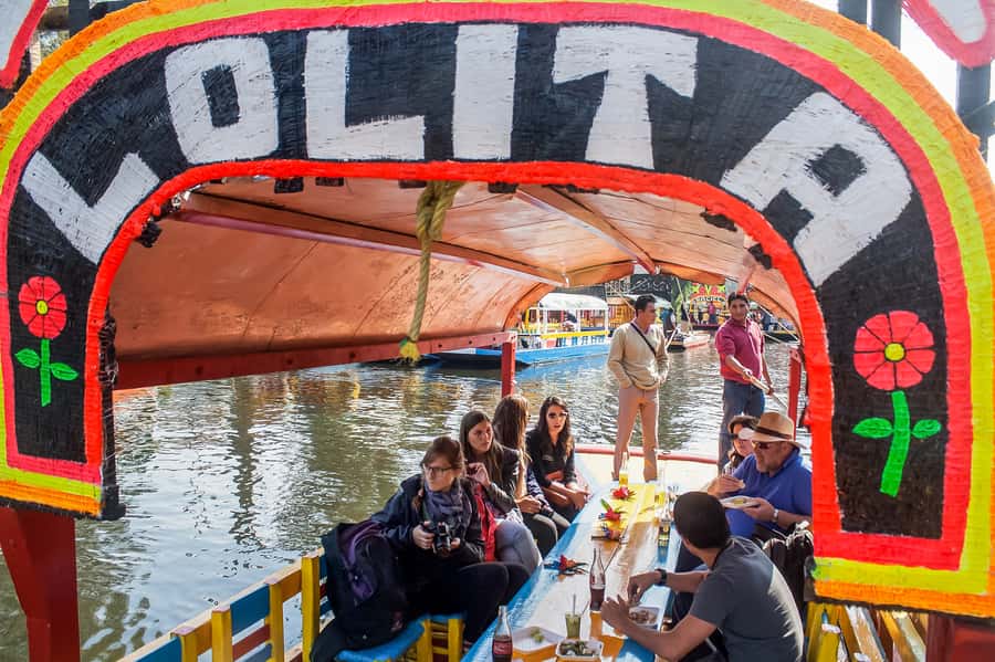 CDMX: Xochimilco, Coyoacan, Frida Kahlo Museum & Murals Tour - UNAM’s murals and the Central Library