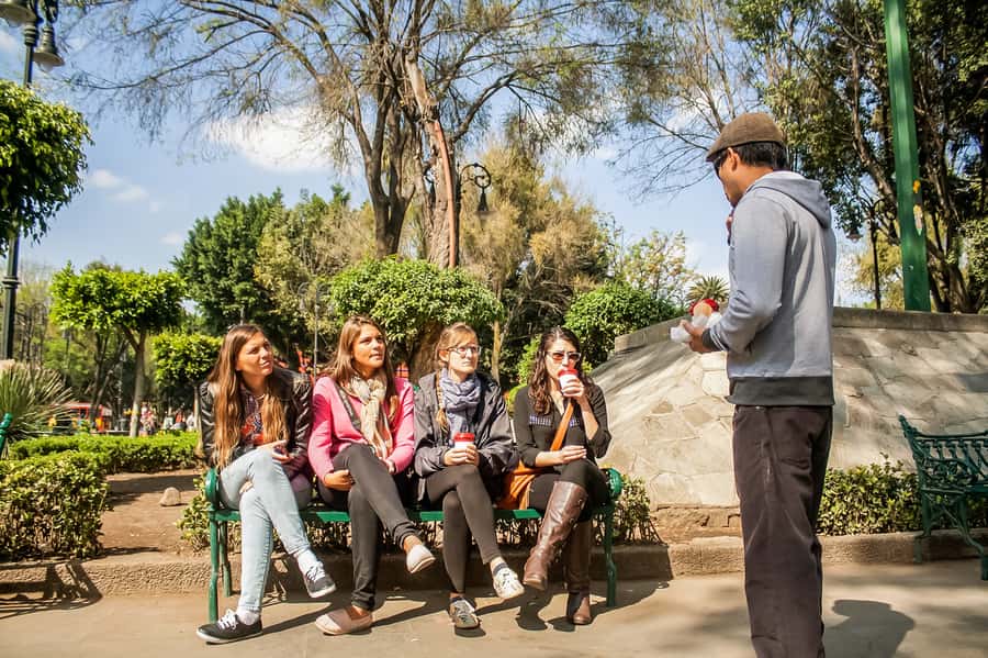 CDMX: Xochimilco, Coyoacan, Frida Kahlo Museum & Murals Tour - Lunch, depending on your booking option