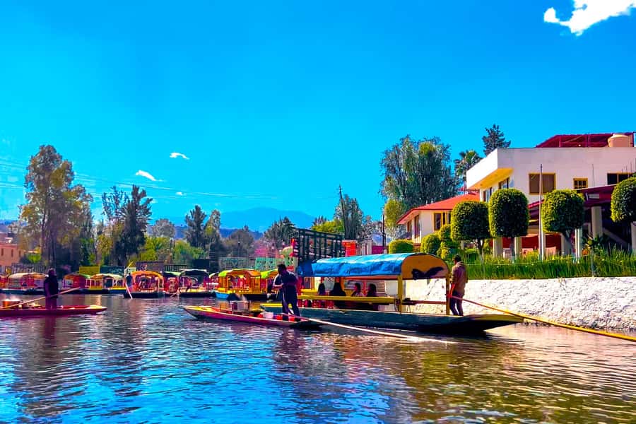 CDMX: Xochimilco Trajinera Party, Drinks, Mariachi & Tacos - Who should book this Xochimilco party?