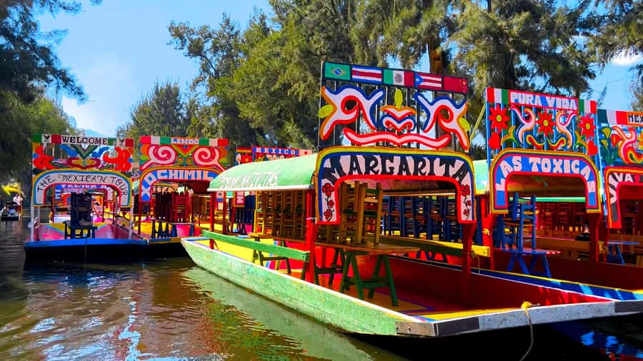 CDMX: Xochimilco Trajinera Party, Drinks, Mariachi & Tacos - Practical tips for enjoying the boat