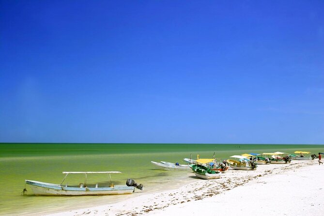 Celestun Beach and Mangrove Boat Ride from Merida - Key points to know before booking