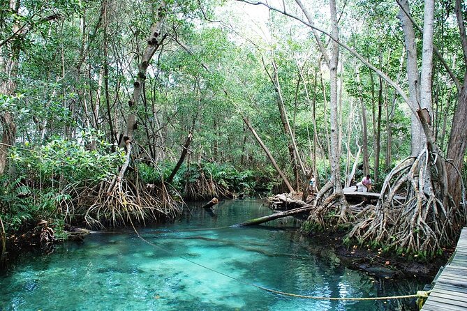 Celestun Beach and Mangrove Boat Ride from Merida - The morning ride through Celestun’s wetlands