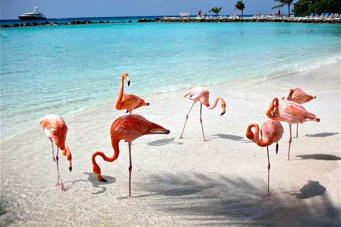 Celestun Beach and Mangrove Boat Ride from Merida - Lunch by the beach in Celestun