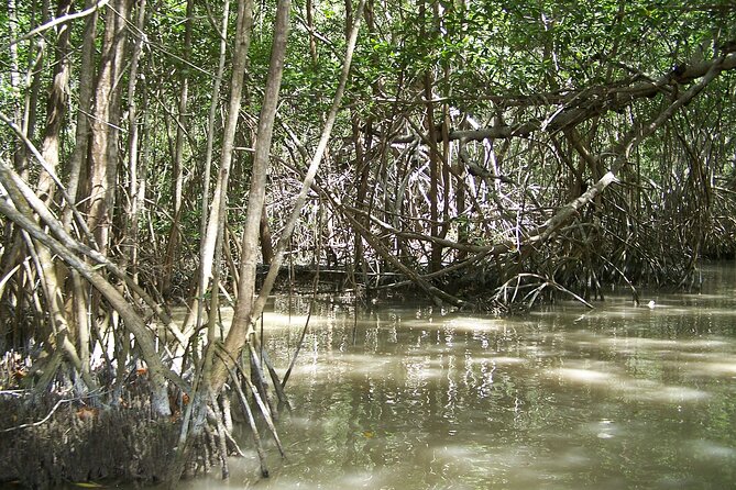 Celestun Beach and Mangrove Boat Ride from Merida - How much beach time you really get