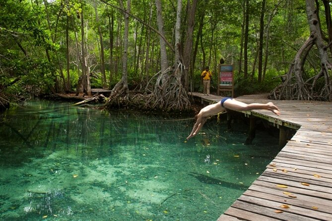 Celestun Beach and Mangrove Boat Ride from Merida - Guides make a noticeable difference