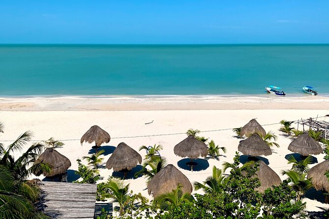 Celestun Beach and Mangrove Boat Ride from Merida - Is $128 a fair price?