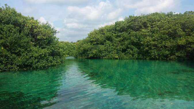 Cenote Paddleboarding and Snorkeling in Tulum - Key points at a glance