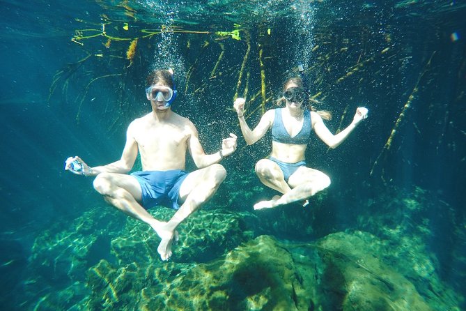 Cenote Paddleboarding and Snorkeling in Tulum - Snorkeling among mangroves
