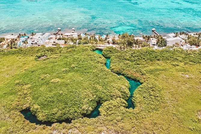 Cenote Paddleboarding and Snorkeling in Tulum - The optional breath-hold session